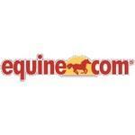 Discover Active, Sales And Promotions | Equine.com Promo Codes